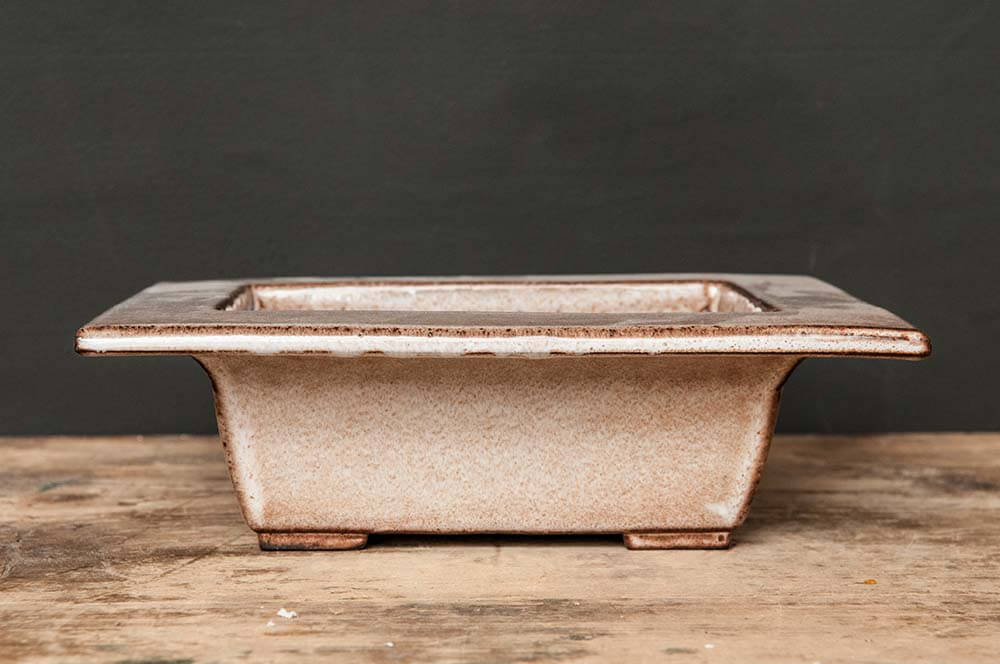 Rectangular bonsai pot with a wide rim - S 03