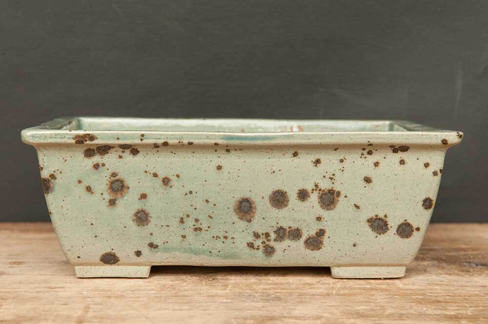 16,5 x 12,5 x 5,7 - e16,5_10