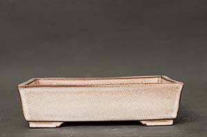 19,5 x 14 x 5,2 cm - r19_01